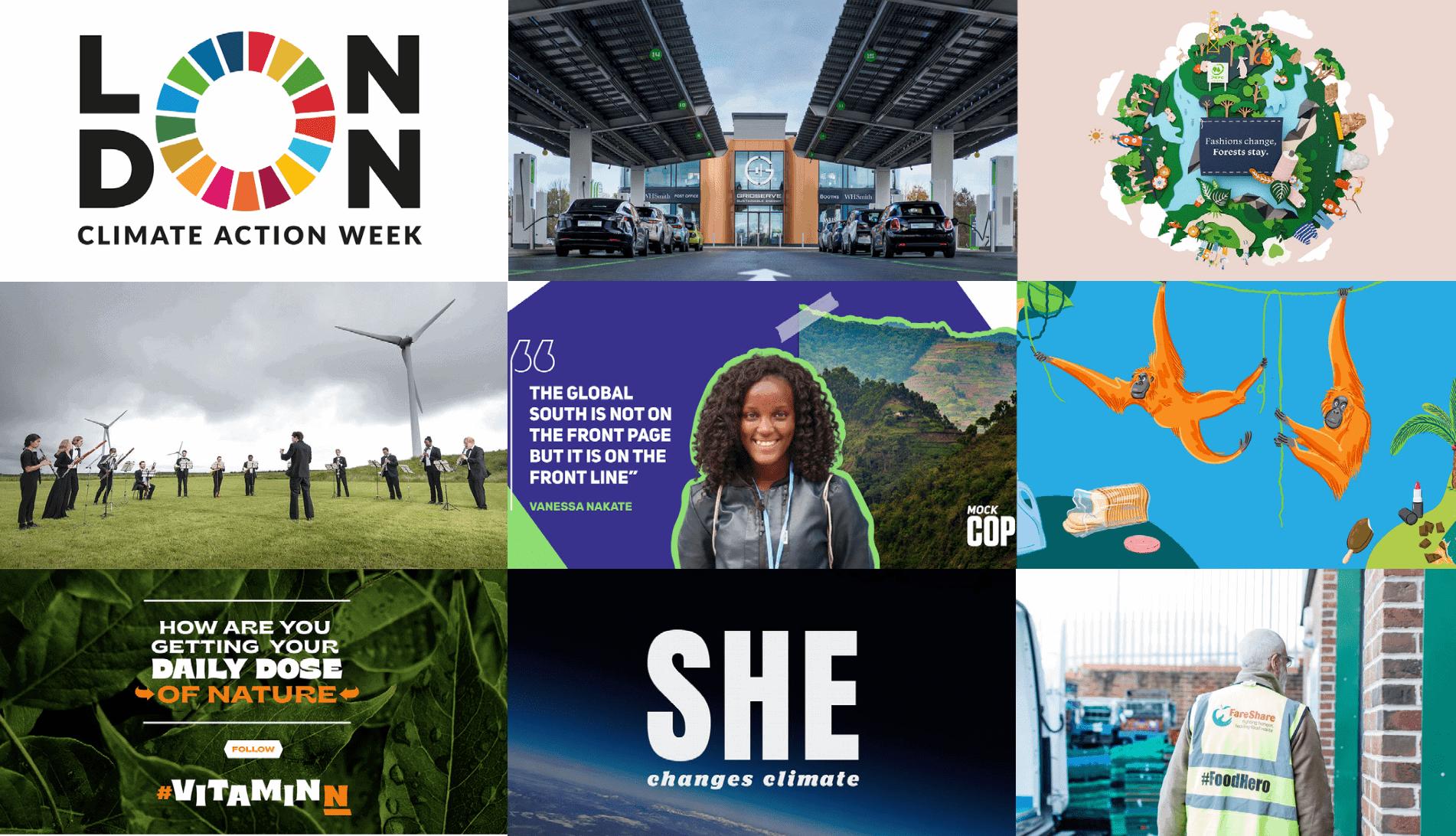 Our top 12 environmental campaigns of 2020