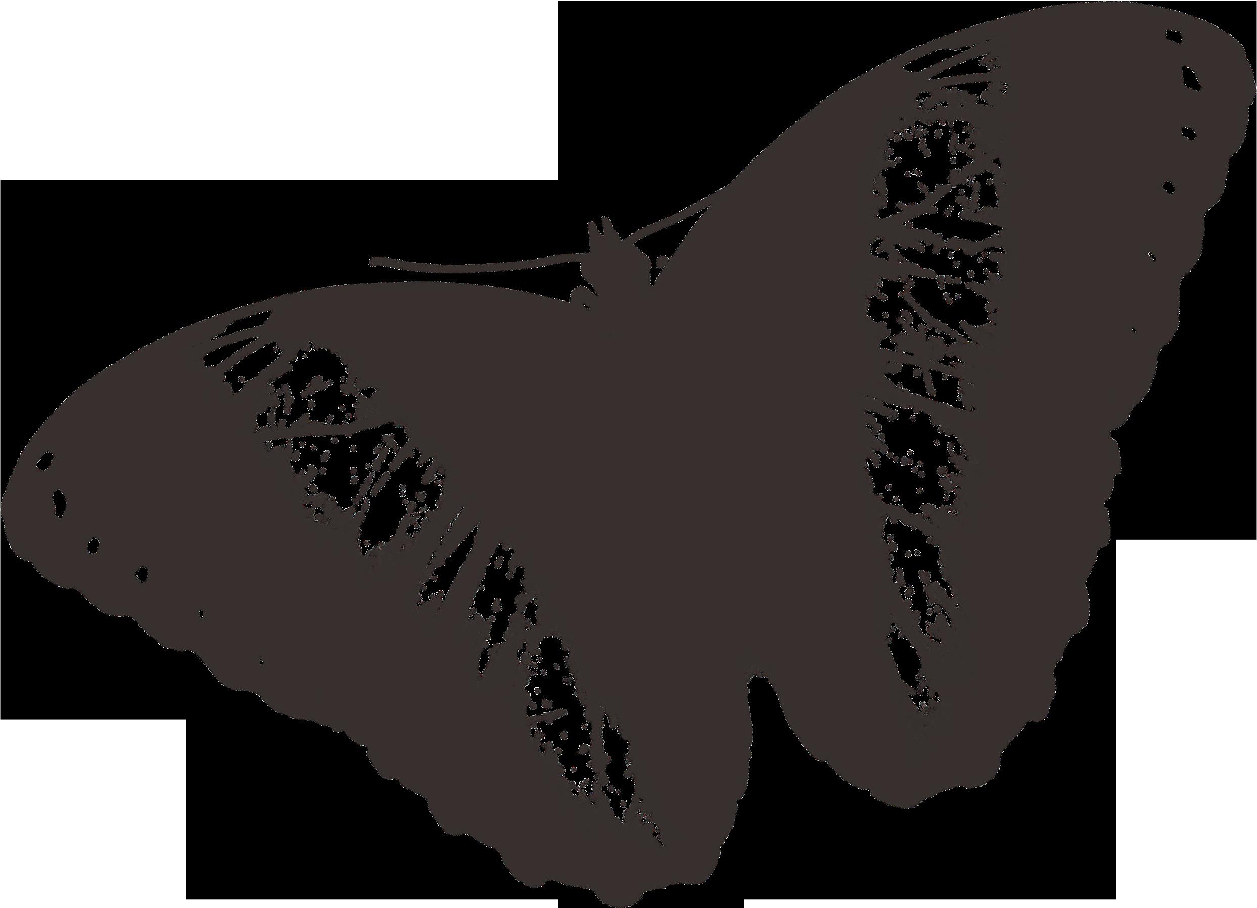 Intersectional Approaches to Digital Activism — Intersectional ...