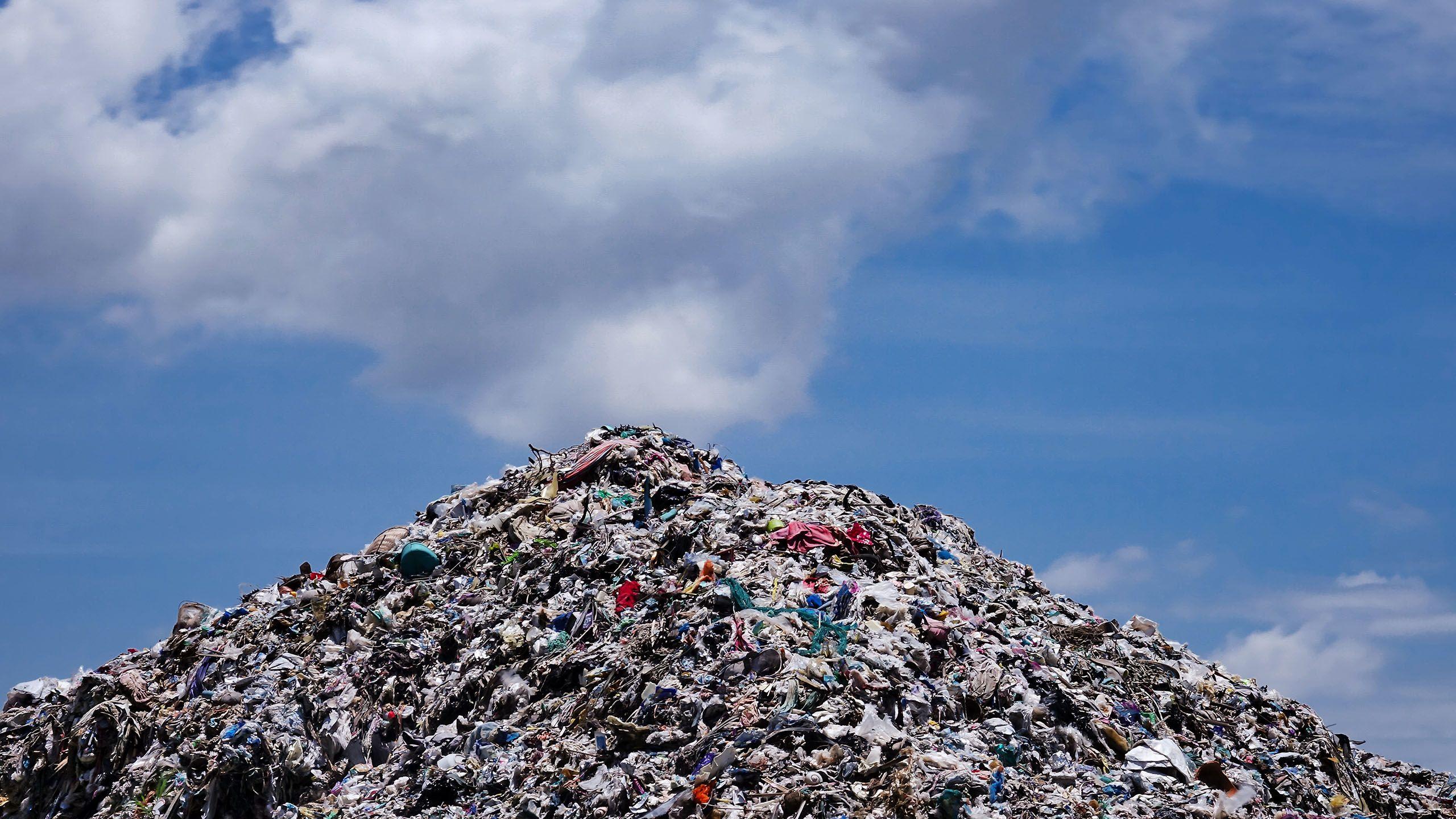 9 things you can do about climate change