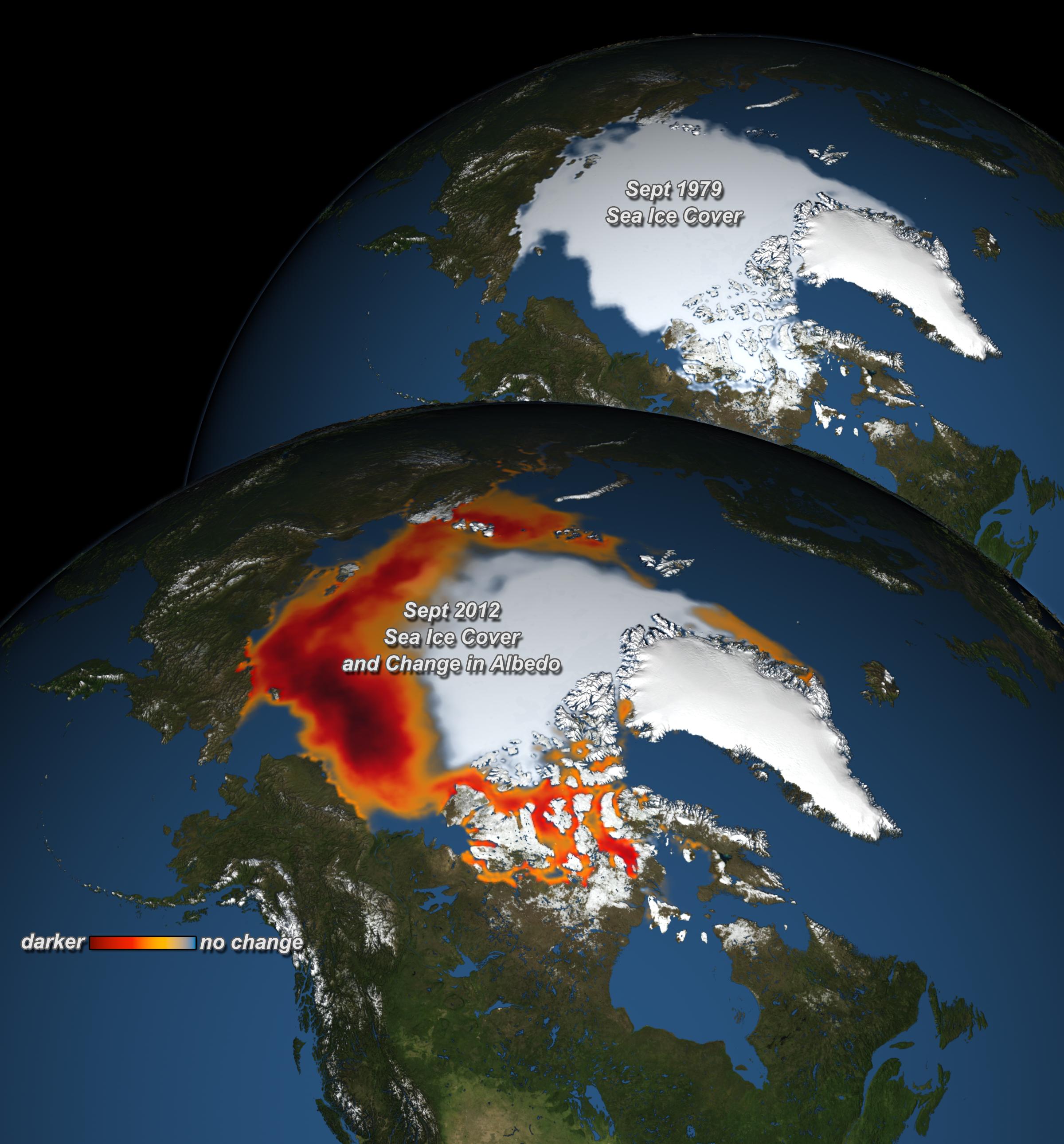 Why Sea Ice Matters | National Snow and Ice Data Center
